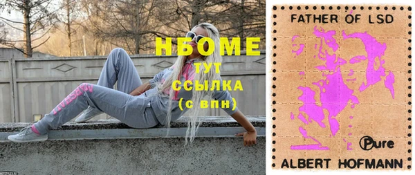ПСИЛОЦИБИНОВЫЕ ГРИБЫ Алзамай