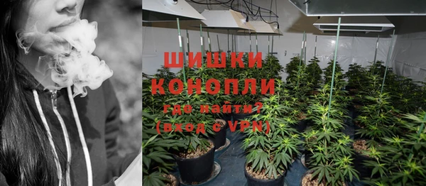 стаф Снежногорск