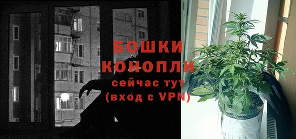 МДПВ Снежинск