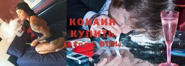 не бодяженный Алексин