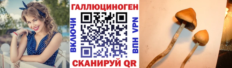 Псилоцибиновые грибы мухоморы  MEGA зеркало  Егорьевск 