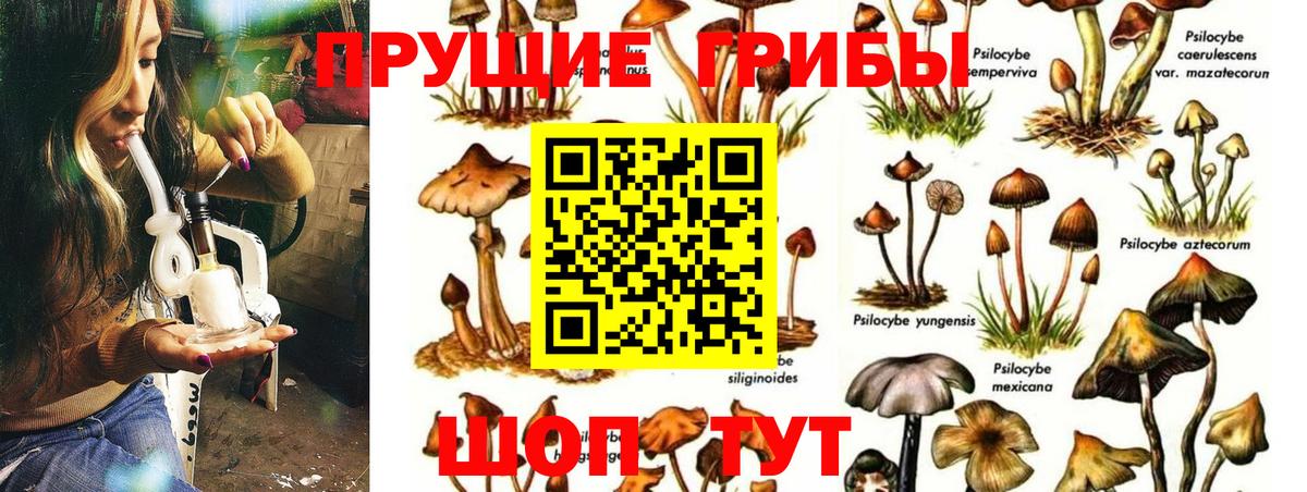 Галлюциногенные грибы Magic Shrooms Егорьевск