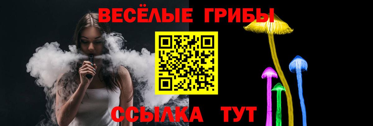Псилоцибиновые грибы Psilocybe  Вход с VPN  Егорьевск 